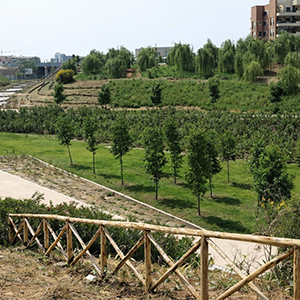 Quartiere Torrino Roma